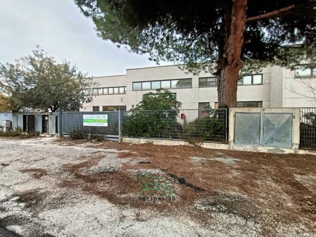 Locale Commerciale in vendita a Ponte Metauro, Marche