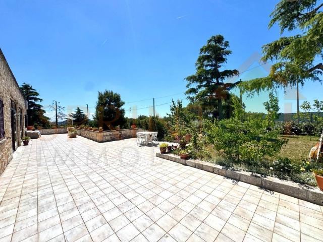 Locale Commerciale in vendita a Selva, Puglia