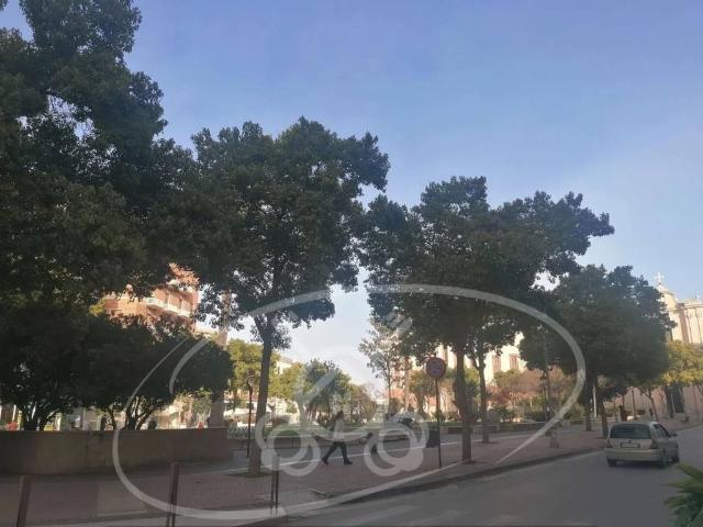 Locale Commerciale in vendita a Puglia, Foggia