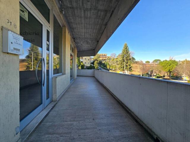 Locale Commerciale in vendita a Marche, Ascoli Piceno