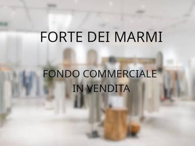 Locale Commerciale in vendita a Vittoria Apuana, Forte Dei Marmi