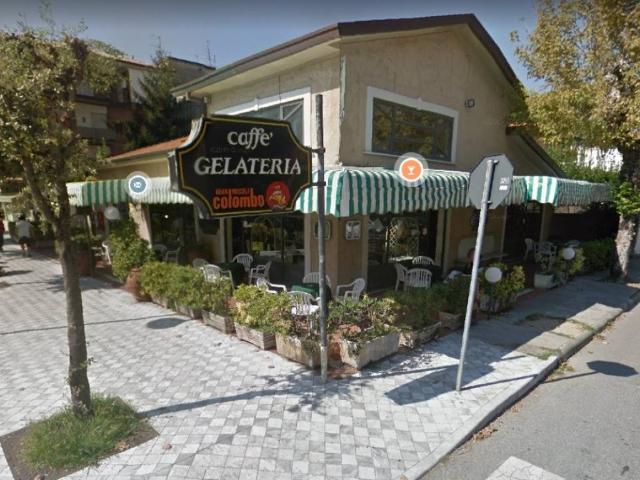 Locale Commerciale in vendita a Vittoria Apuana, Forte Dei Marmi