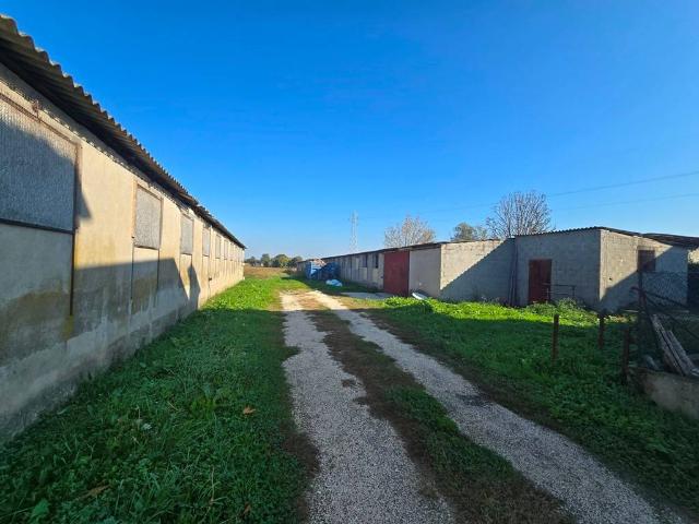 Locale Commerciale in vendita a Fossò, Veneto