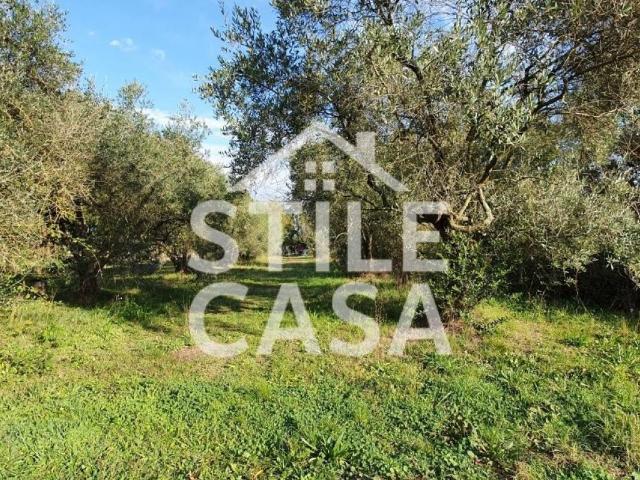 Locale Commerciale in vendita a Unione dei Comuni Circondario dell'Empolese Valdelsa, Fucecchio