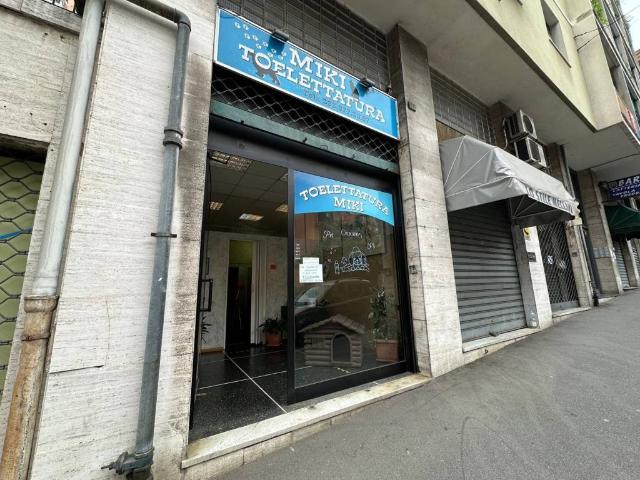 Locale Commerciale in vendita a Centro Ovest, Serra Riccò