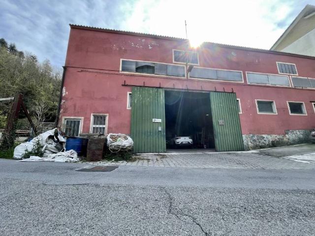 Locale Commerciale in vendita a Medio Levante, Serra Riccò