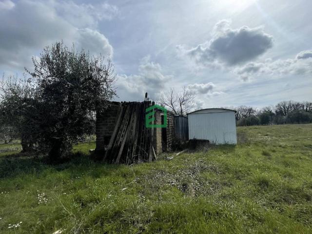 Locale Commerciale in vendita a Giove, Umbria