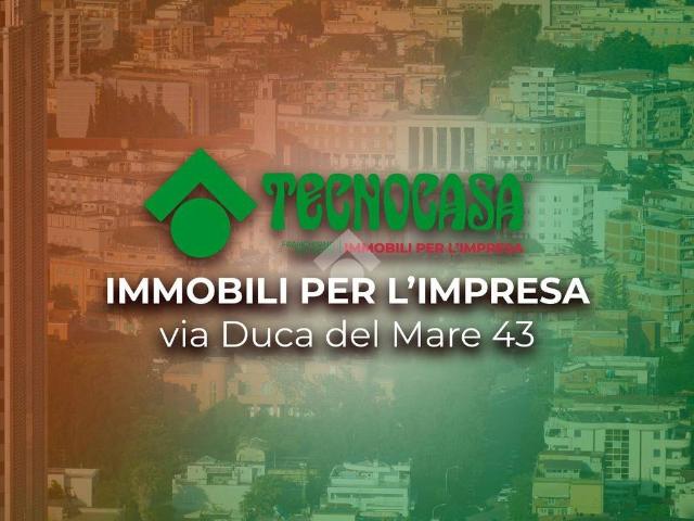 Locale Commerciale in vendita a Villaggio Trieste, Latina