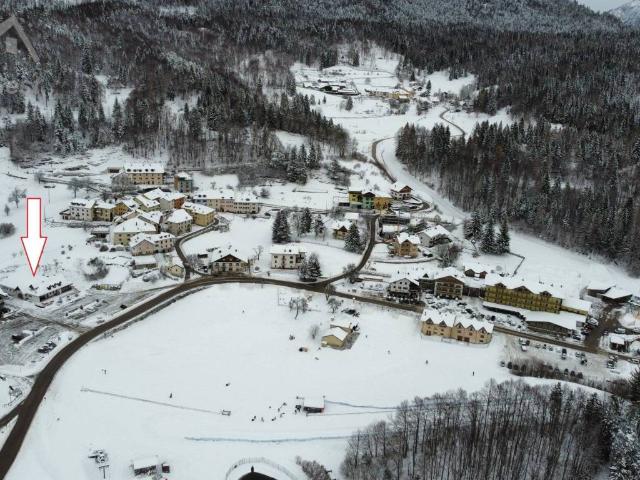 Locale Commerciale in vendita a Magnifica Comunità degli Altipiani Cimbri, Lavarone