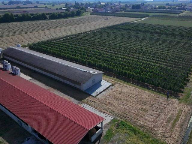 Locale Commerciale in vendita a Canove, Legnago