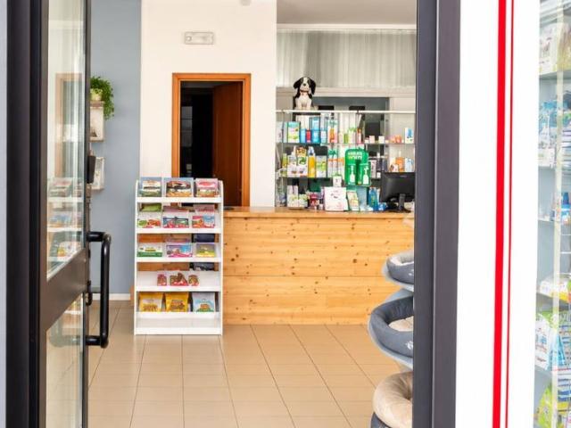 Locale Commerciale in vendita a Comunità Alta Valsugana e Bersntol, Levico Terme