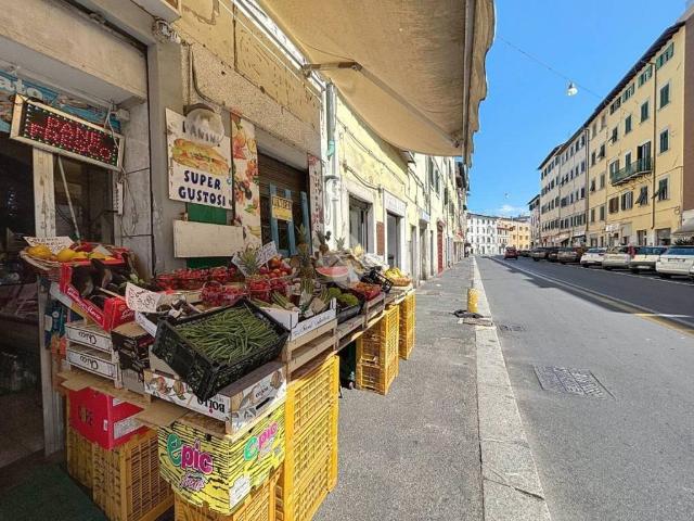 Locale Commerciale in vendita a Garibaldi, Livorno