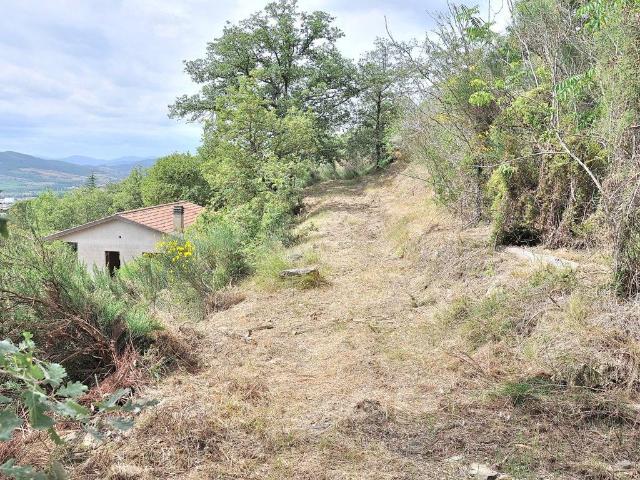 Locale Commerciale in vendita a Magione, Umbria