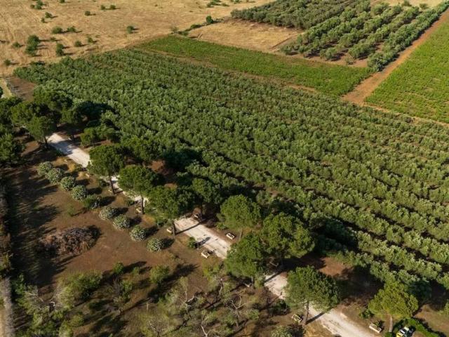 Locale Commerciale in vendita a Puglia, Taranto