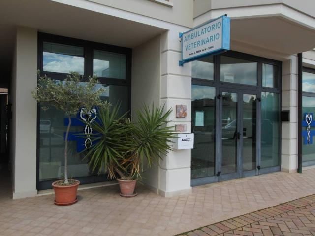 Locale Commerciale in vendita a Marmirolo, Lombardia