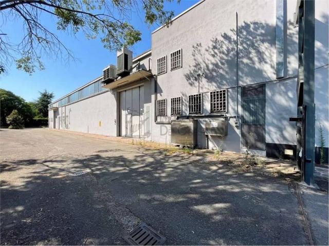 Locale Commerciale in vendita a Torrazzi, Modena