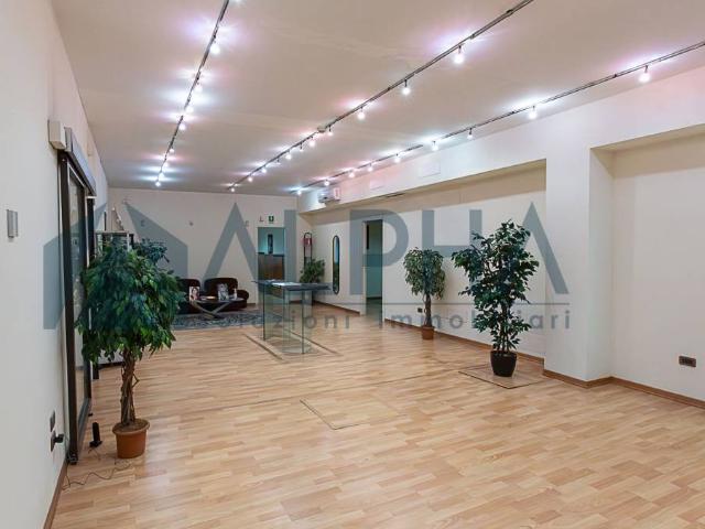 Locale Commerciale in vendita a Cittanova, Modena