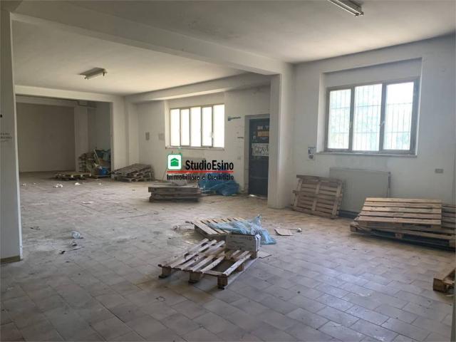 Locale Commerciale in vendita a Stella, Marche