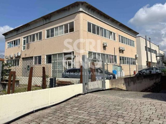 Locale Commerciale in vendita a Le Case, Montevettolini