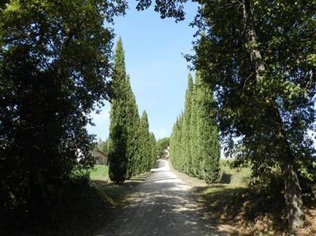 Locale Commerciale in vendita a Montalcino, Toscana