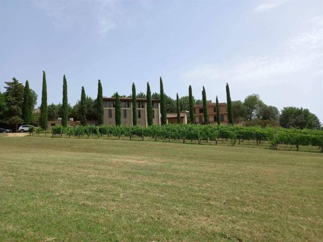 Locale Commerciale in vendita a Abbadia Di Montepulciano, Toscana