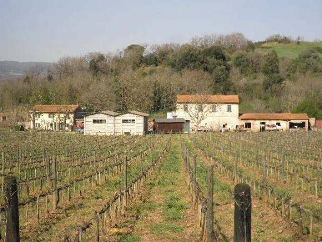 Locale Commerciale in vendita a Montescudaio, Toscana