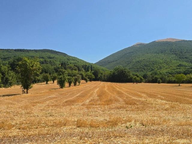 Locale Commerciale in vendita a Nocera Umbra, Umbria
