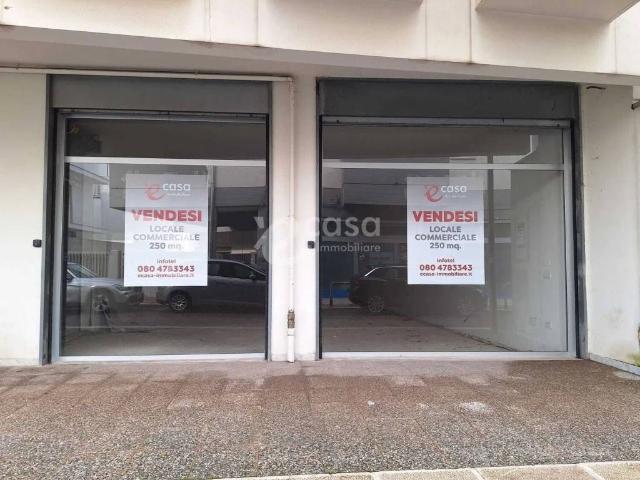 Locale Commerciale in vendita a Noicattaro, Bari