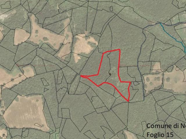 Locale Commerciale in vendita a Unione di comuni Valmarecchia, Novafeltria