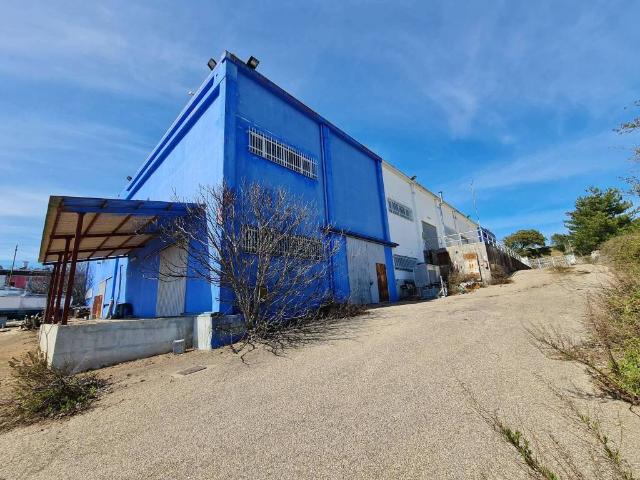 Locale Commerciale in vendita a Nuoro, Sardigna/Sardegna