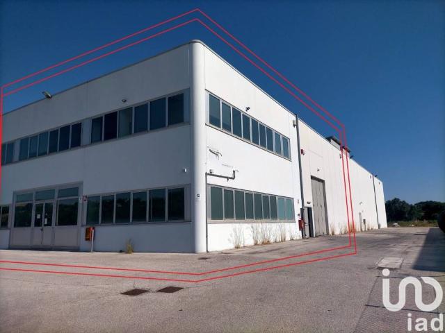 Locale Commerciale in vendita a Scaricalasino, Marche