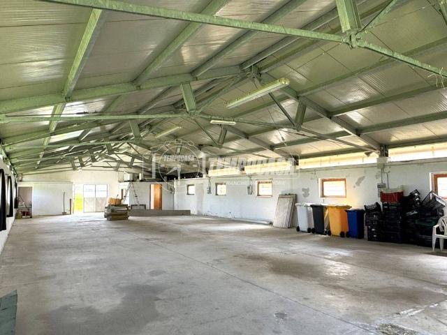 Locale Commerciale in vendita a Marche, Ancona