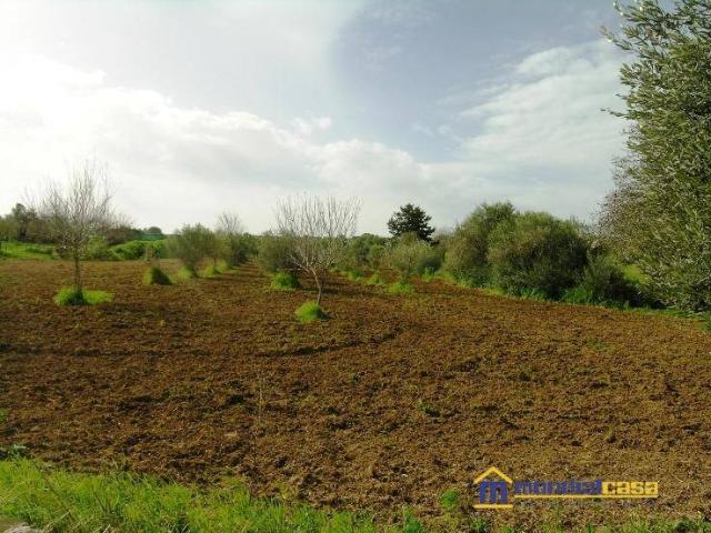 Locale Commerciale in vendita a Pachino, Sicilia