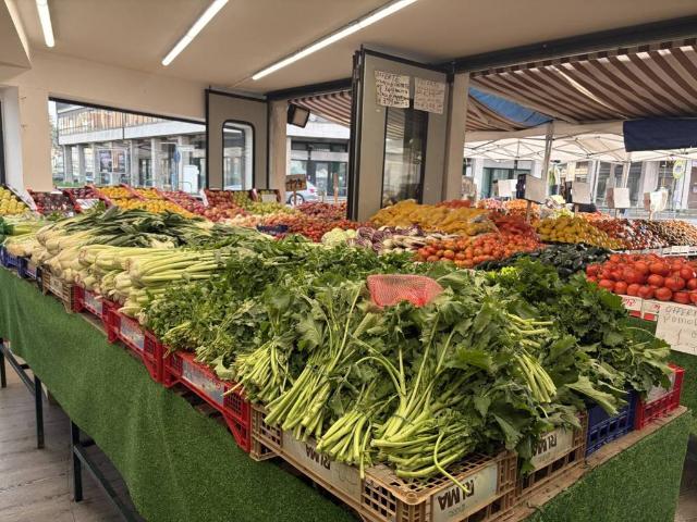 Locale Commerciale in vendita a Padova, Veneto