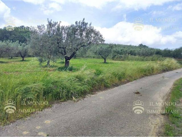 Terreno in vendita a Roma Capitale, Lazio