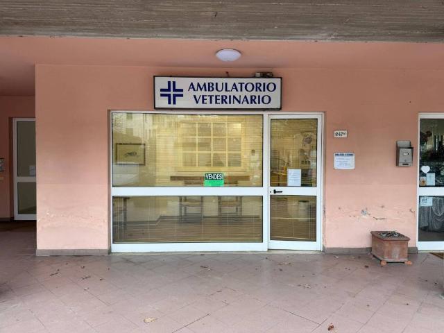 Locale Commerciale in affitto a Farneto, Cenerente
