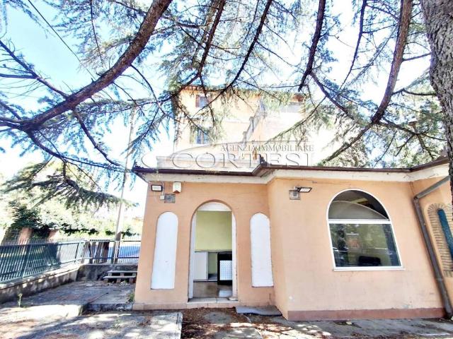 Locale Commerciale in vendita a Cenerente, Umbria