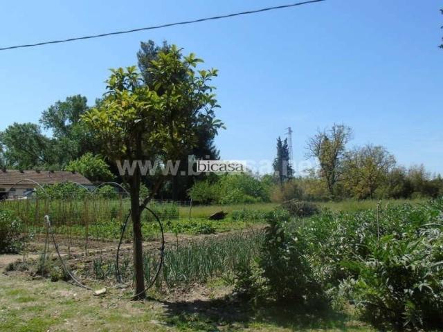 Locale Commerciale in vendita a Torraccia, Marche