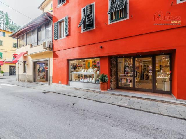 Locale Commerciale in vendita a Collecchio, Uzzano E Castello
