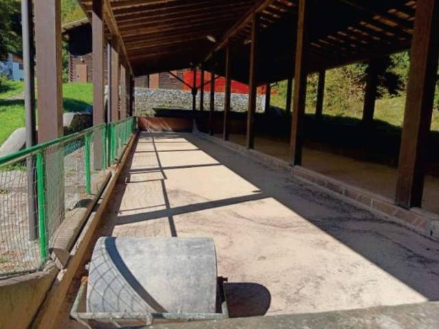 Locale Commerciale in vendita a Alpiaz, Pian Camuno