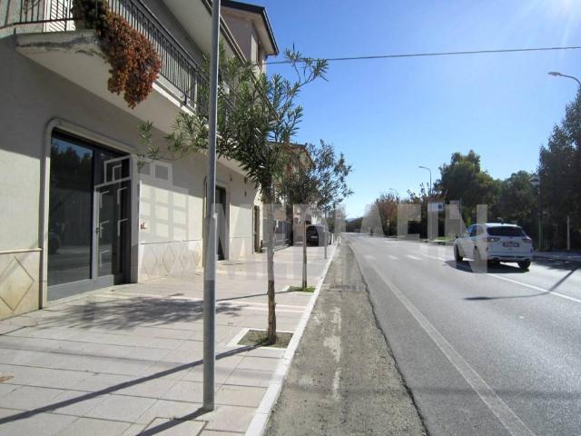 Locale Commerciale in vendita a Camigliano, Calabria