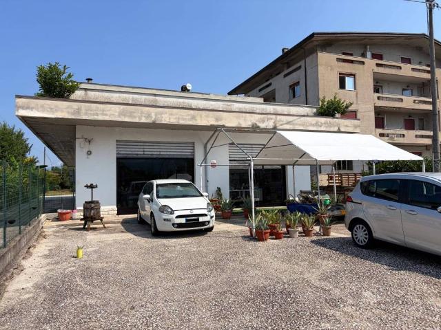 Locale Commerciale in vendita a Pignataro Interamna, Lazio