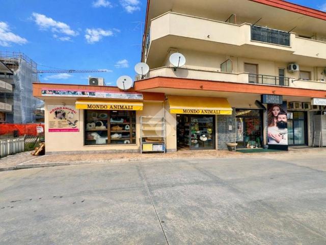 Locale Commerciale in vendita a Pineto, Abruzzo
