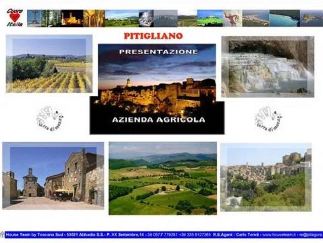 Locale Commerciale in vendita a Unione di Comuni Montani Colline del Fiora, Pitigliano