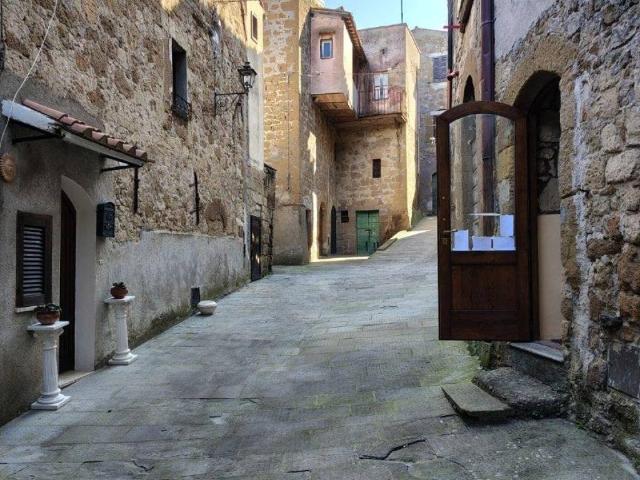 Locale Commerciale in vendita a Unione di Comuni Montani Colline del Fiora, Pitigliano