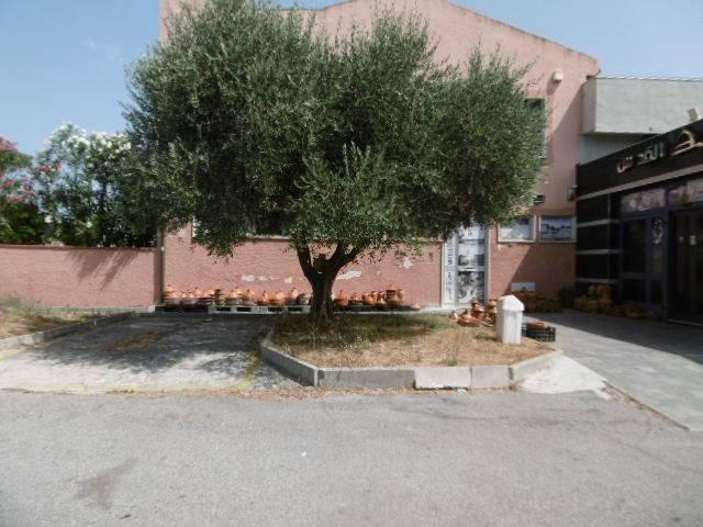 Locale Commerciale in vendita a Pietroconti, Pontedera