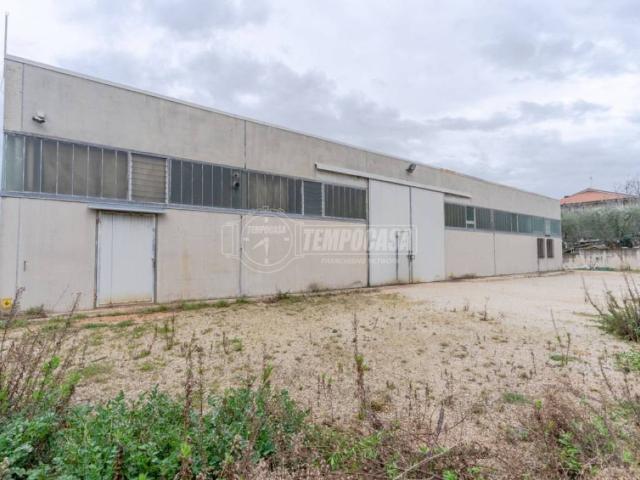 Locale Commerciale in vendita a Marche, Macerata