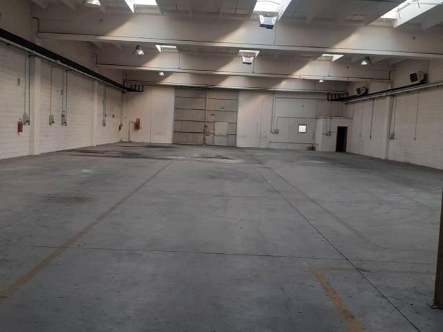 Locale Commerciale in vendita a Pradamano, Friuli-Venezia Giulia