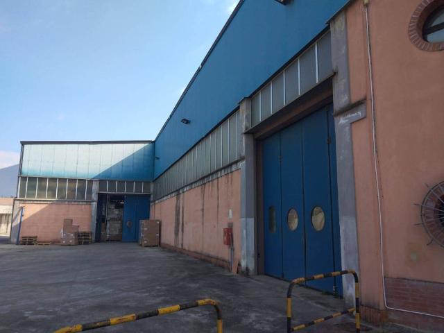 Locale Commerciale in vendita a Puglianello, Campania