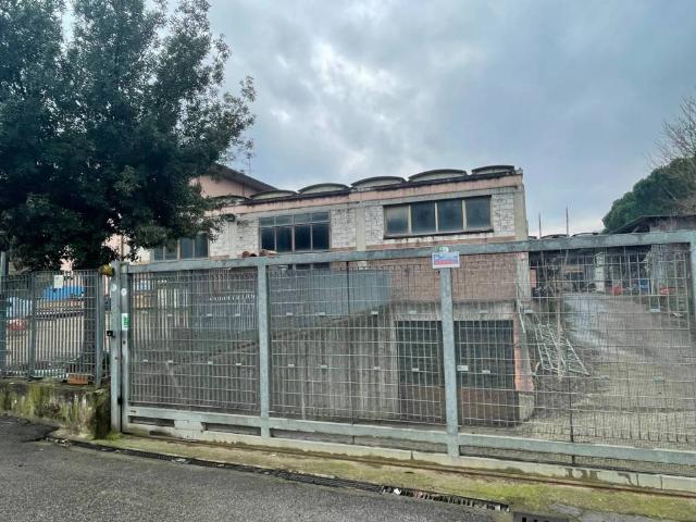 Locale Commerciale in vendita a Unione di Comuni Valdarno e Valdisieve, Reggello